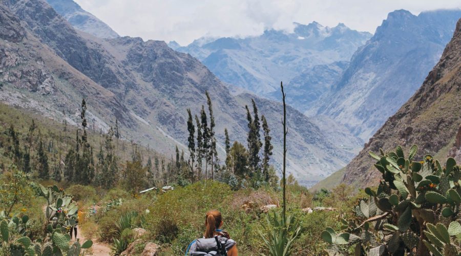 Inca Trail Tour