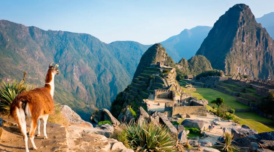 Machu Picchu