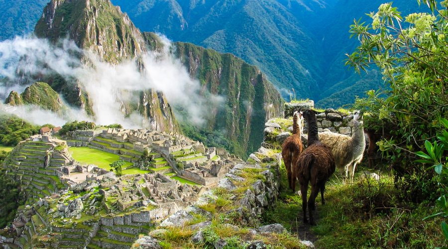 Machu Picchu Eco Journey